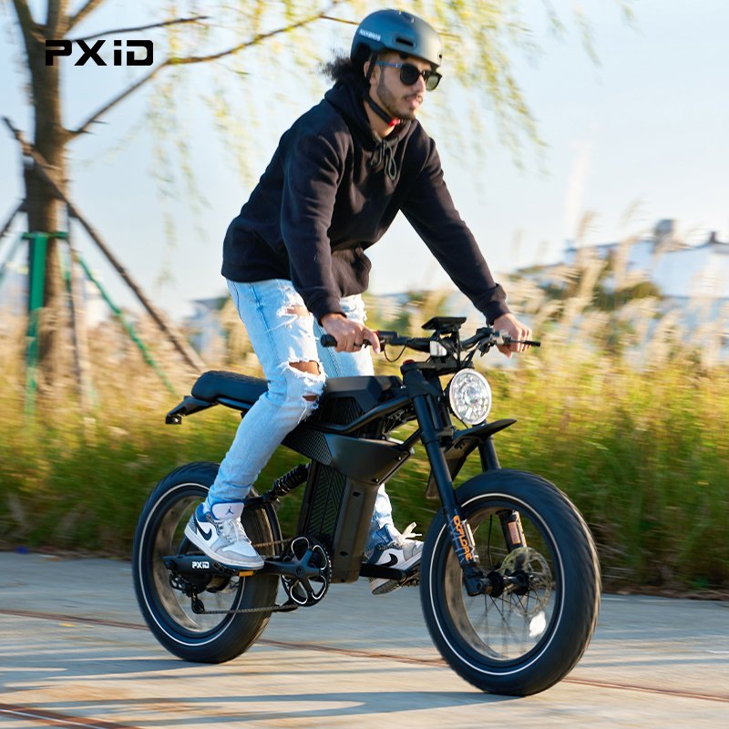 PXID MANTIS P6 ebike steel frame 20 inch fat tire electric sportbikes mountain bike