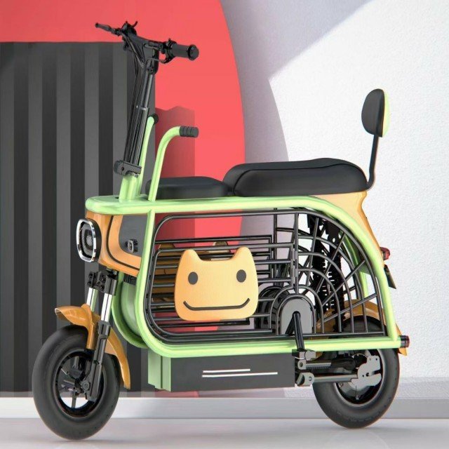 48v Electric fatbike in electric city bike 12ah electric city bike