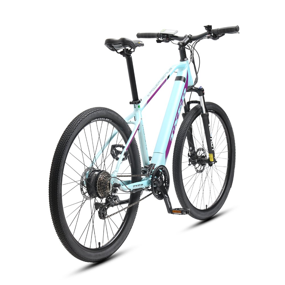 TXED 29 inch 36V/250W motor 10.4Ah Lithium battery emtb 24-speed suspension fork electric mountain bike