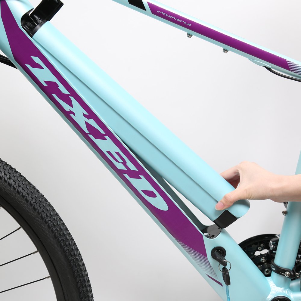 TXED 29 inch 36V/250W motor 10.4Ah Lithium battery emtb 24-speed suspension fork electric mountain bike