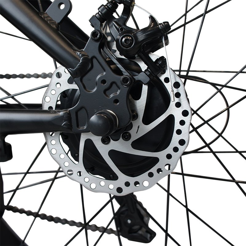 Factory 26inch fat tire 7 speed Mountain 36V 48V 250W 750w 1000w 2000w enduro ebike Aluminum Alloy frame electric bicycle