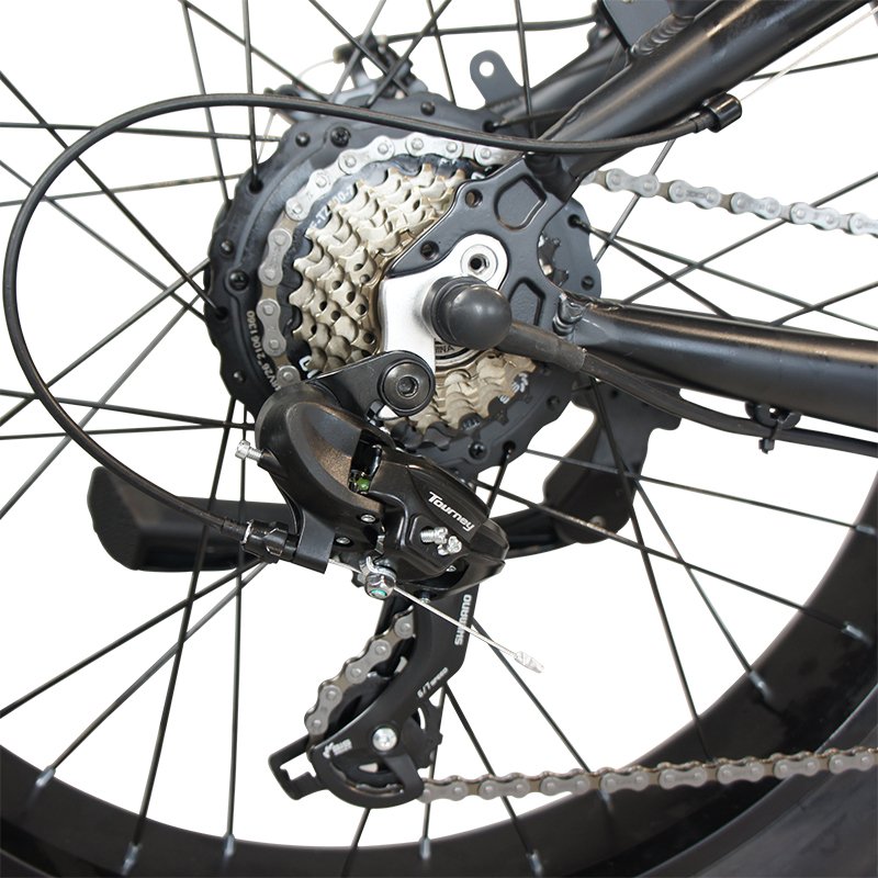 Factory 26inch fat tire 7 speed Mountain 36V 48V 250W 750w 1000w 2000w enduro ebike Aluminum Alloy frame electric bicycle