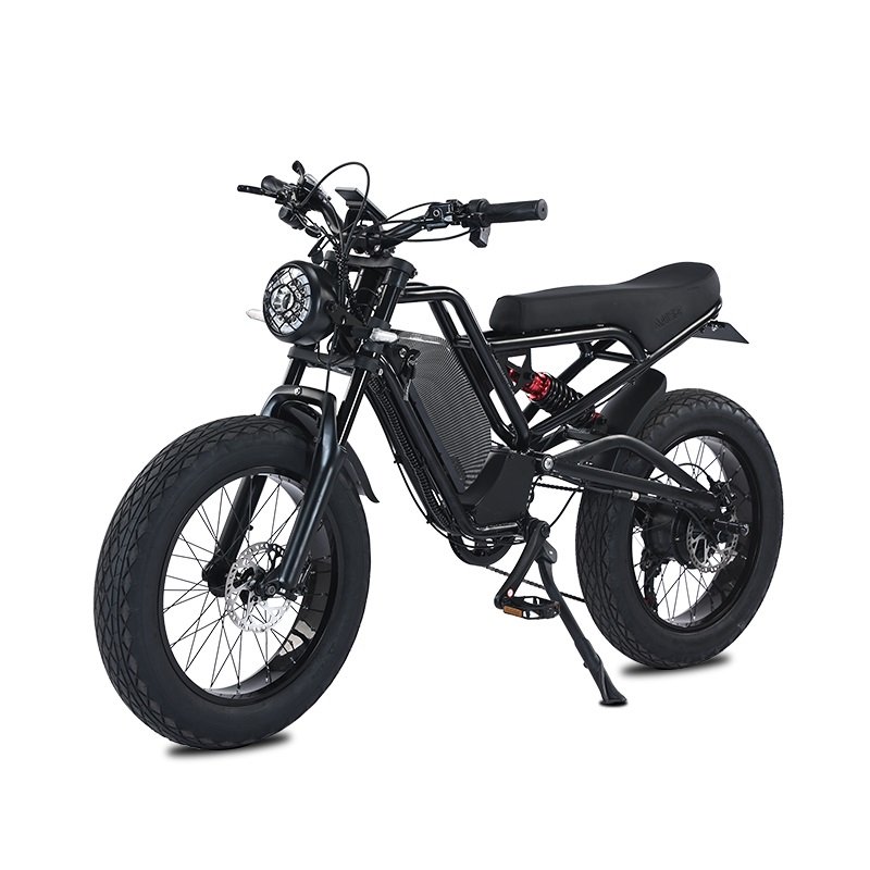 Akez 20" Suspension Fat Tire Bike Hub Motor Electric E Dirt Bike Bicycle 1000W 48V 52V Ebike Sports Mountain E-Bike For Adult