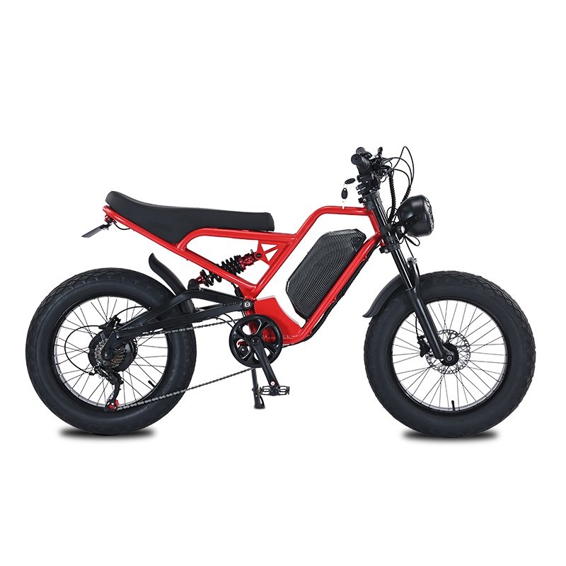 Akez 20" Suspension Fat Tire Bike Hub Motor Electric E Dirt Bike Bicycle 1000W 48V 52V Ebike Sports Mountain E-Bike For Adult
