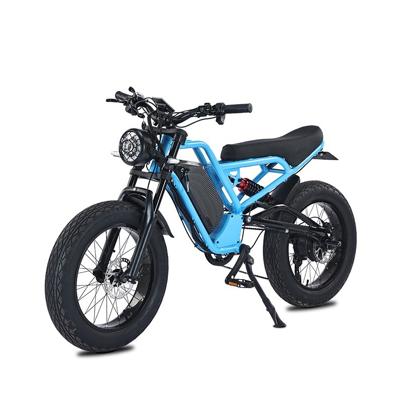Akez 20" Suspension Fat Tire Bike Hub Motor Electric E Dirt Bike Bicycle 1000W 48V 52V Ebike Sports Mountain E-Bike For Adult