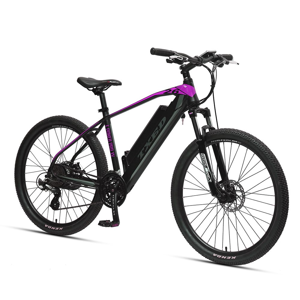TXED new popular 36V Mountain E-bike 26 inch Rear Hub Motor MTB Electric Bike