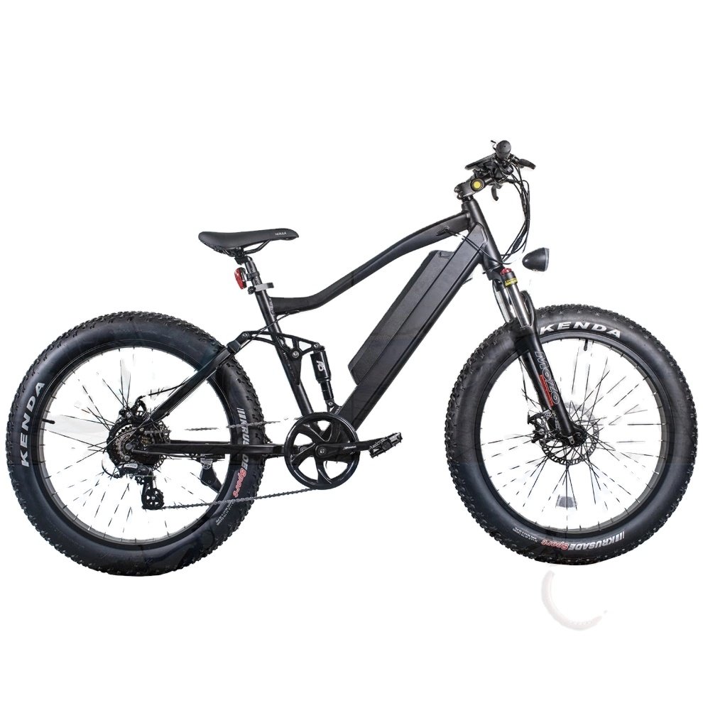 26 Inch Cruiser Style 36V 350W BAFANG Gear Motor Electric Bicycle Mountain Snow E-bike