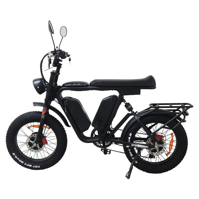 20 E Cycle Electric Bike for Sale Manufacturers direct sales of high quality black 1000W Max Charger Motor electric bikes