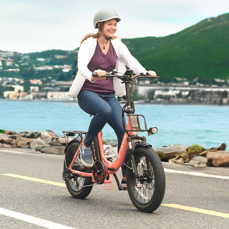 US Warehouse ENGWE L20 2.0 New Model 750W City Folding Ebike 48V 13Ah Electric Hybrid Bike for Adult 20inch Fat Tires E-bike