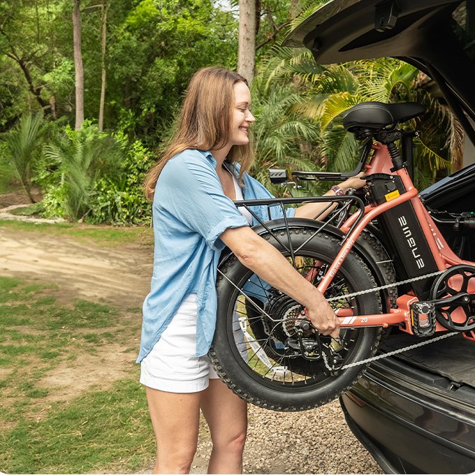 US Warehouse ENGWE L20 2.0 New Model 750W City Folding Ebike 48V 13Ah Electric Hybrid Bike for Adult 20inch Fat Tires E-bike