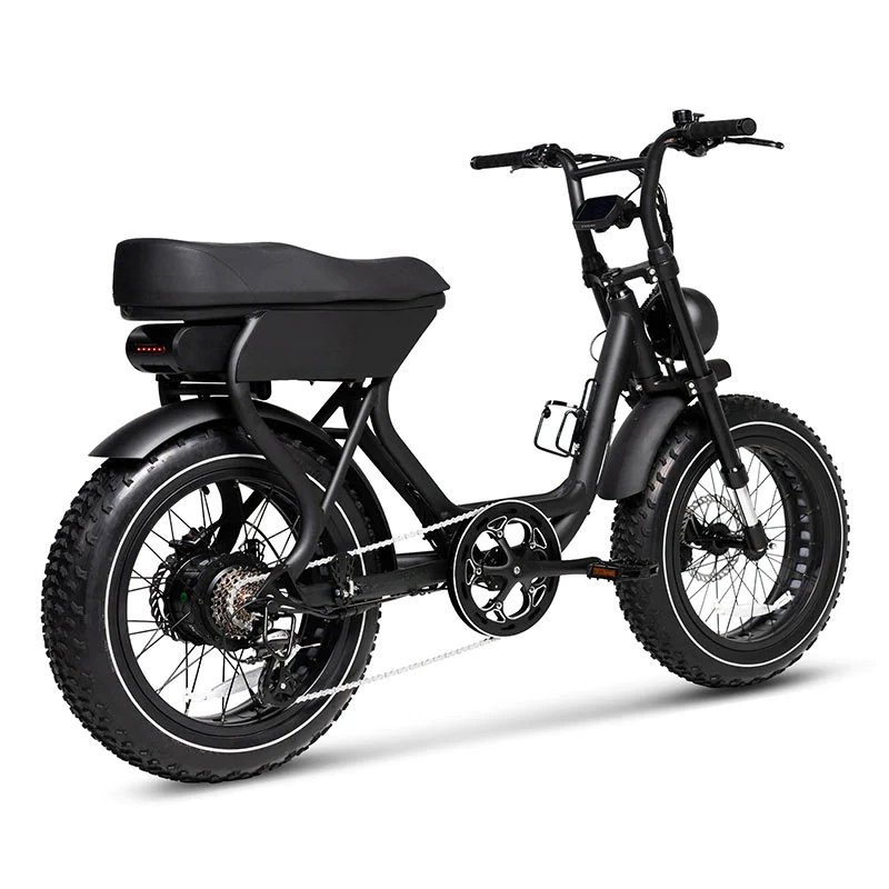 Fast Ship 16ah Mountain Bike Electric Foldable Fat Tire Bike 750w 7 Speed Aluminum Frame High Quality EU USA Warehouse