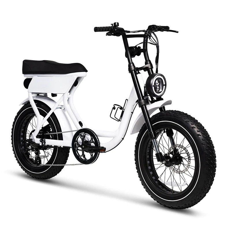 Fast Ship 16ah Mountain Bike Electric Foldable Fat Tire Bike 750w 7 Speed Aluminum Frame High Quality EU USA Warehouse