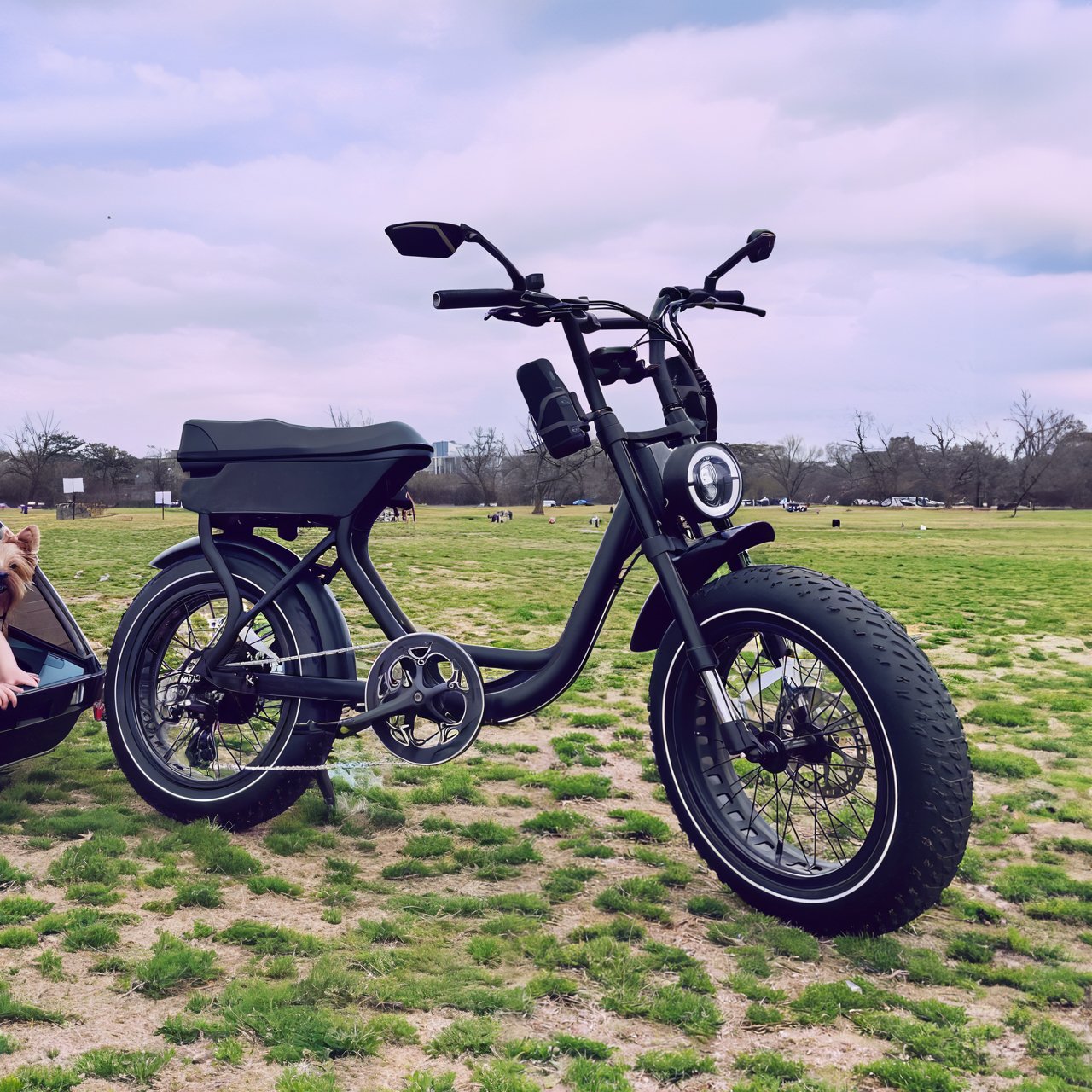 Fast Ship 16ah Mountain Bike Electric Foldable Fat Tire Bike 750w 7 Speed Aluminum Frame High Quality EU USA Warehouse