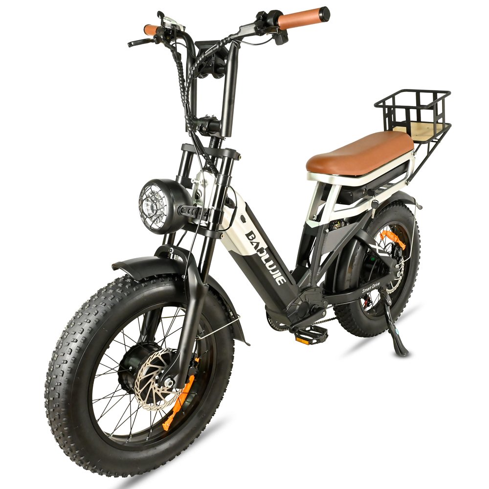 OEM Dual Motor Dual Battery Electric Cargo Bike 2000W 48V 30AH Electric Mountain Bikes 7 Speed Gears Electric Bike For Adult