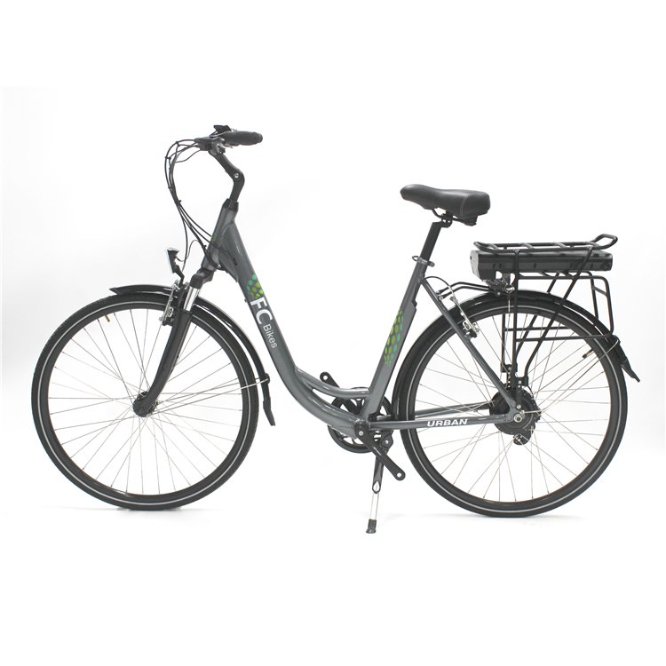 ebike Factory delivery 26 inch e bike lithium battery 36v 250w electric bicycle electric bike bicicleta electrica