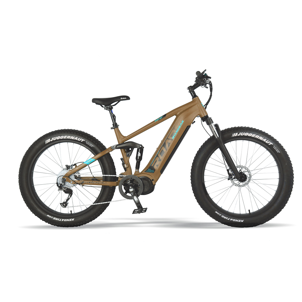 500w mid driving electric mountain bike for men