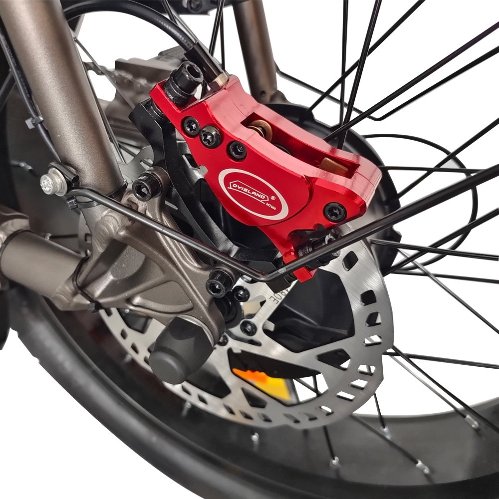 Tourwheel Fat Tire Electric Bike Removable Battery Electric Mountain Fatbike 20" All Terrain Snow Tires 7Speed Ebike Moped Style