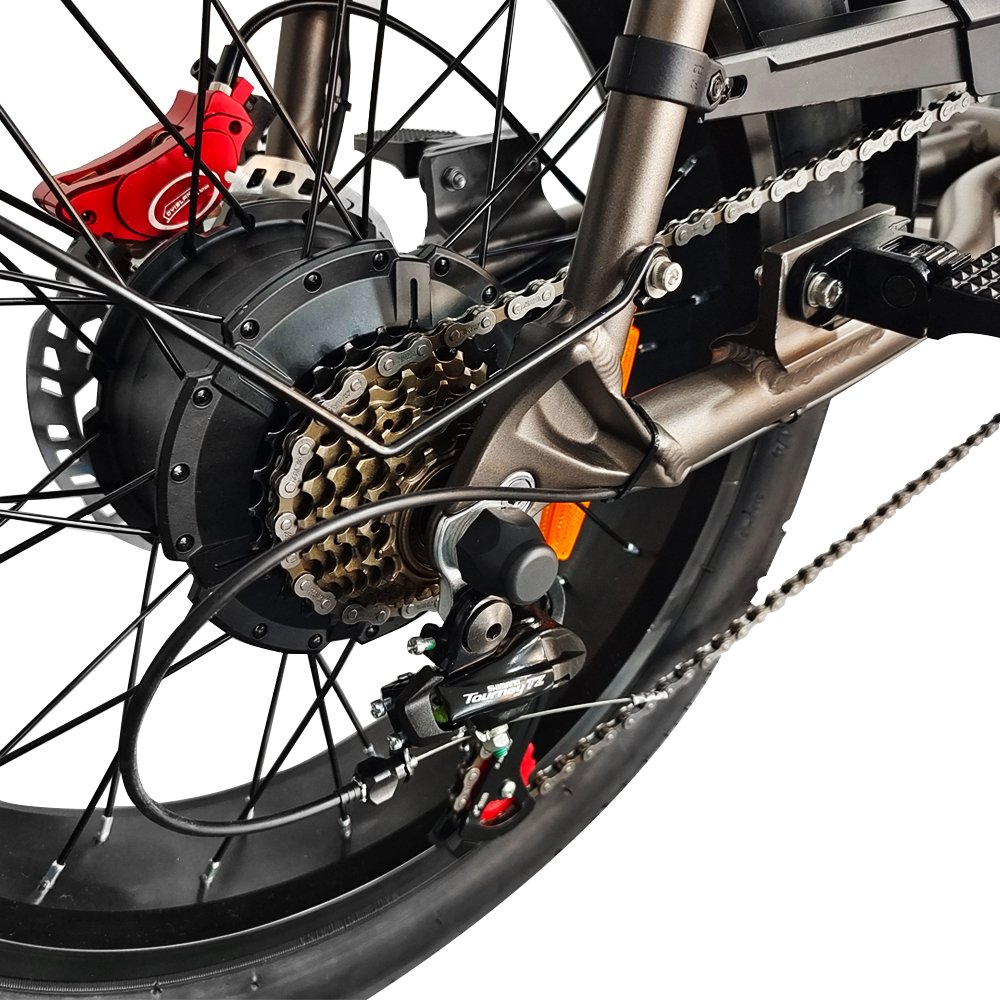 Tourwheel Fat Tire Electric Bike Removable Battery Electric Mountain Fatbike 20" All Terrain Snow Tires 7Speed Ebike Moped Style