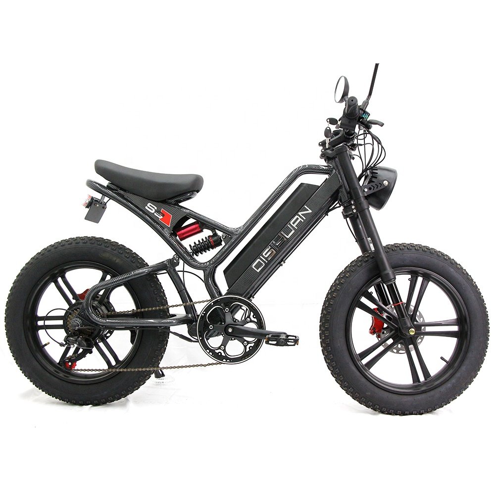 Disiyuan 20 inch Super S9 Cargo Mtb Electric Bike 48V Fat Tire Electric Bicycle v20 bike Electric Mountain Bike 1000w 500w