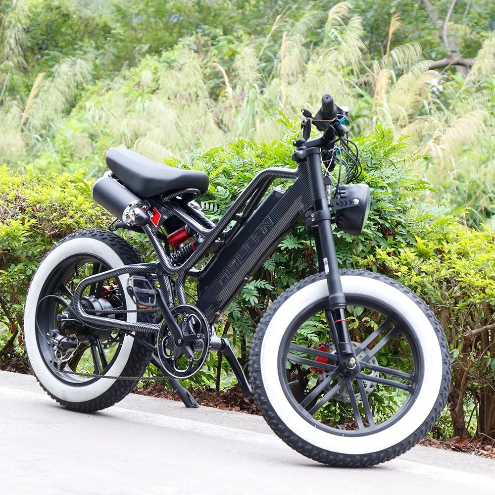 Disiyuan 20 inch Super S9 Cargo Mtb Electric Bike 48V Fat Tire Electric Bicycle v20 bike Electric Mountain Bike 1000w 500w