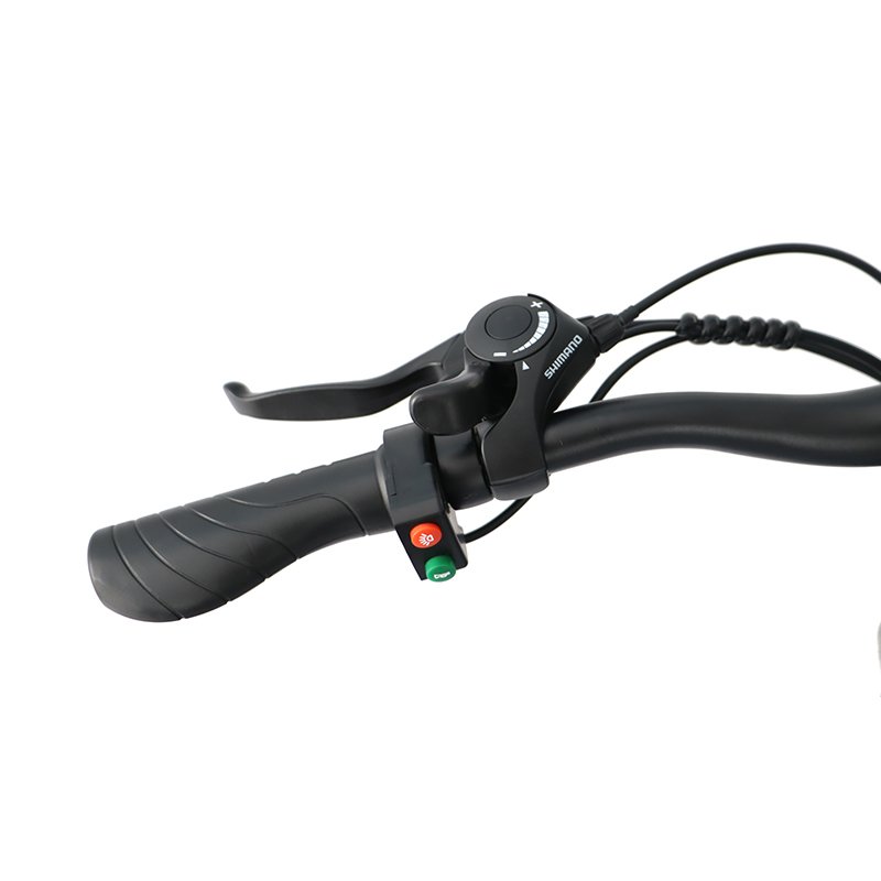 Hot sale 36V Electric Mountain Bike 350W Motor Steel city bicycle electric dirtbike
