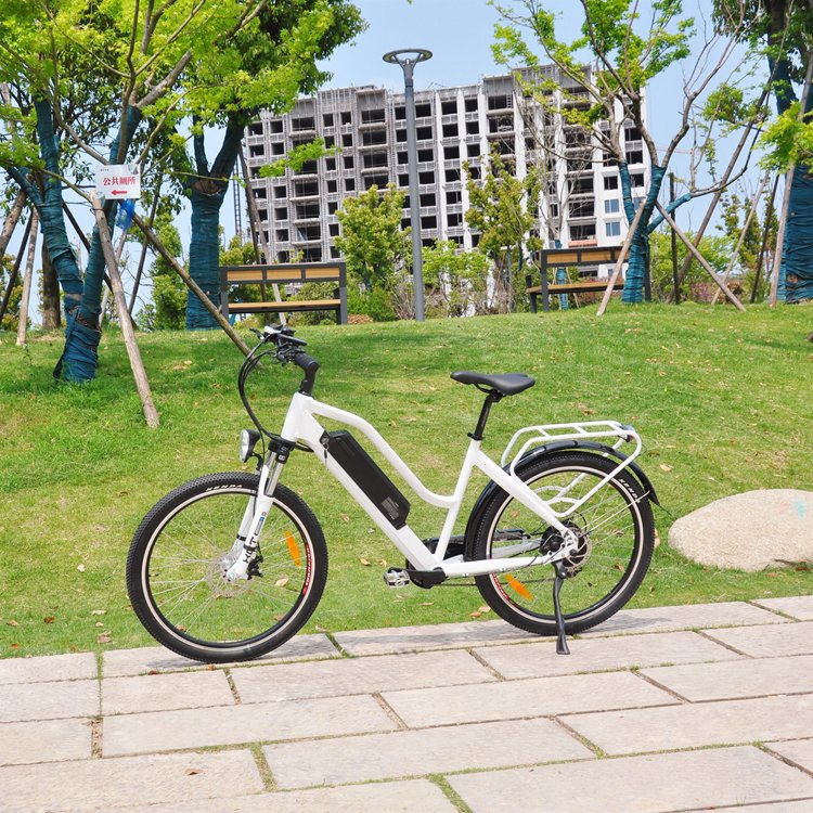 LOHAS New Fashion 26inch Fat Tire Electric Bicycle Electric Mountain Bike with LCD Display