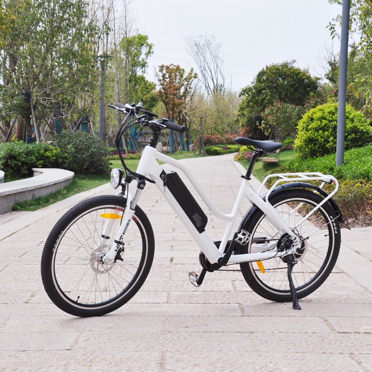 LOHAS New Fashion 26inch Fat Tire Electric Bicycle Electric Mountain Bike with LCD Display
