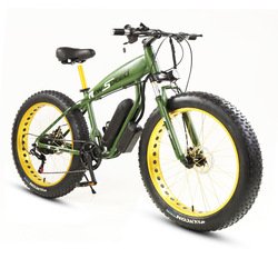 36V10.4ah battery 250W motor