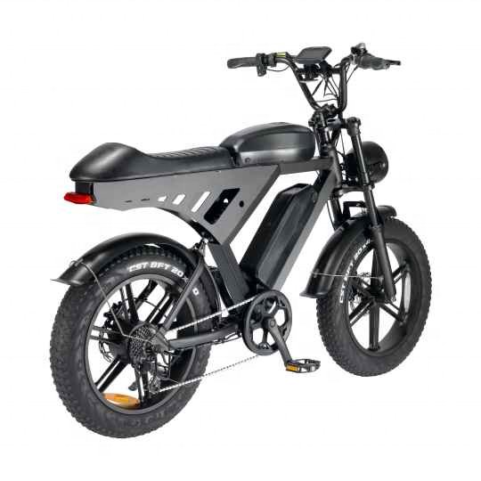 V30 Electric Bikes elektrische fiets 50 mph long range German Warehouse Pedal Assist City fat tire for men mountain bike