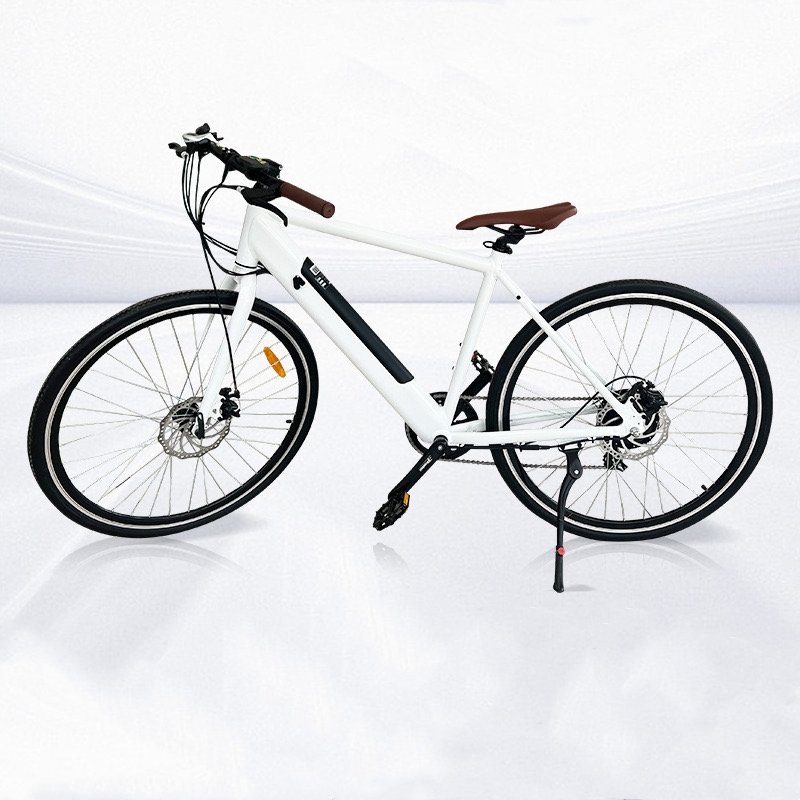 26 Inch Electric City Bike 48V 10Ah City Ebike 48V 350W Electric Bicycle