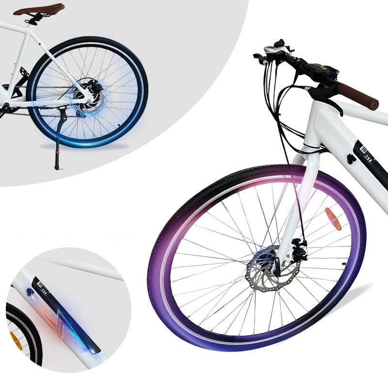 26 Inch Electric City Bike 48V 10Ah City Ebike 48V 350W Electric Bicycle