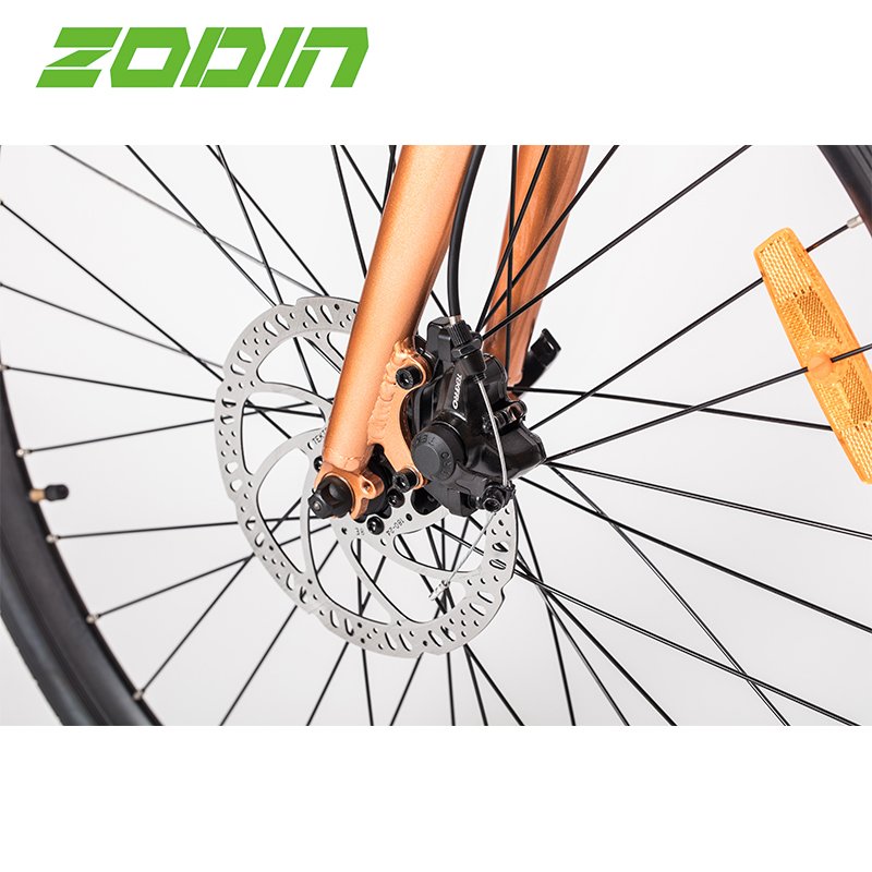 ZODIN Hot Sale High Quality Green City Electric Bike With Hidden Battery
