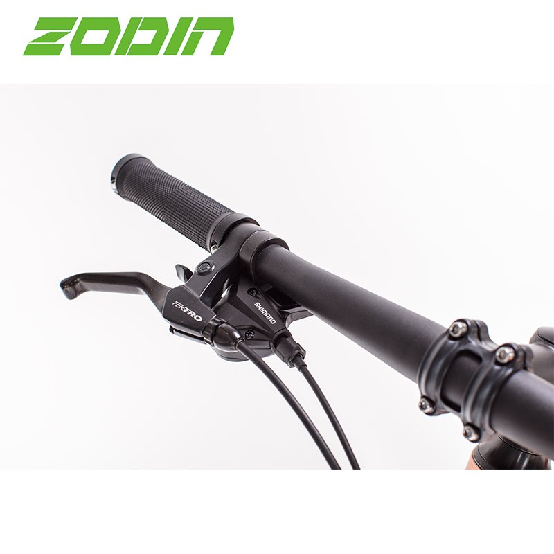ZODIN Hot Sale High Quality Green City Electric Bike With Hidden Battery