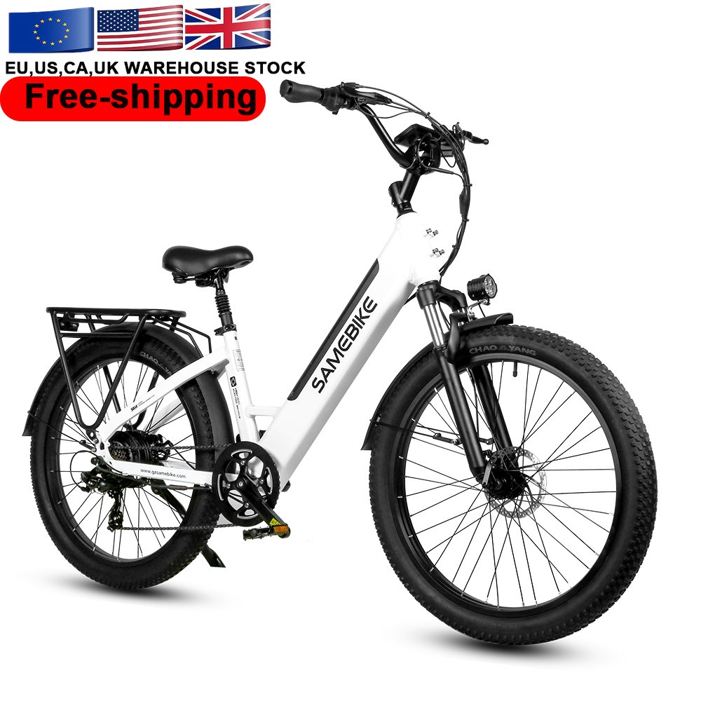 2024 RTS Canada warehouse 26 Wheel Size Hybrid Cheap Retro Lady WholeSale 48V14A 750W Electric City Bike/Bicycle