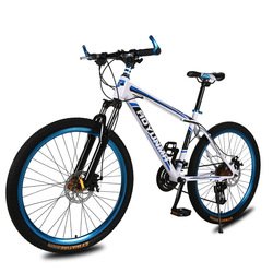 Folding Bicycle