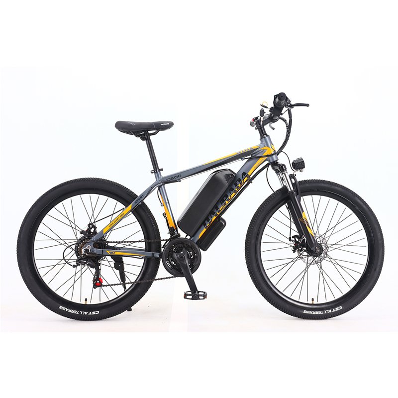 Cheap Simple configuration with low power mountain bike elettrica 48v 8AH e electric cycle