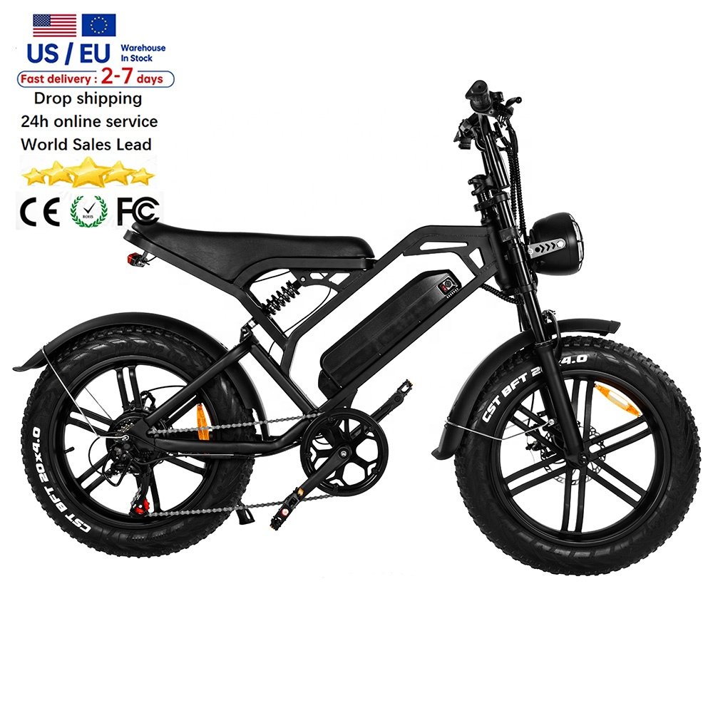 V20 Vintage design fat electric bike Full Suspension ebike 48v cheap fatbike Long Range Electric Bike fat e-bike Mountain E bike