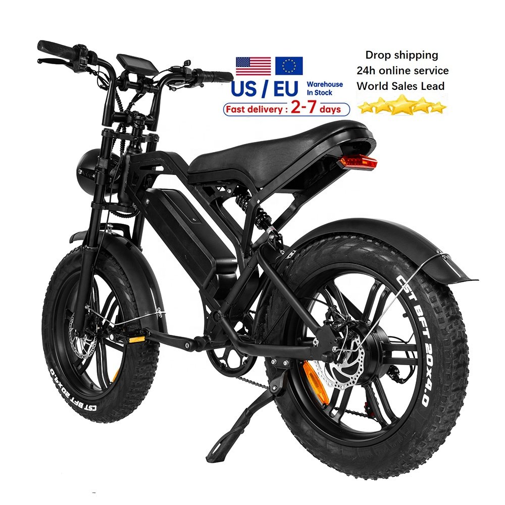 V20 Vintage design fat electric bike Full Suspension ebike 48v cheap fatbike Long Range Electric Bike fat e-bike Mountain E bike