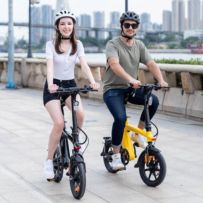 14 Inch 250W 36V 10Ah Removable Battery Adult Waterproof Fashionable Foldable China City Bike Electric Bicycle For Sale