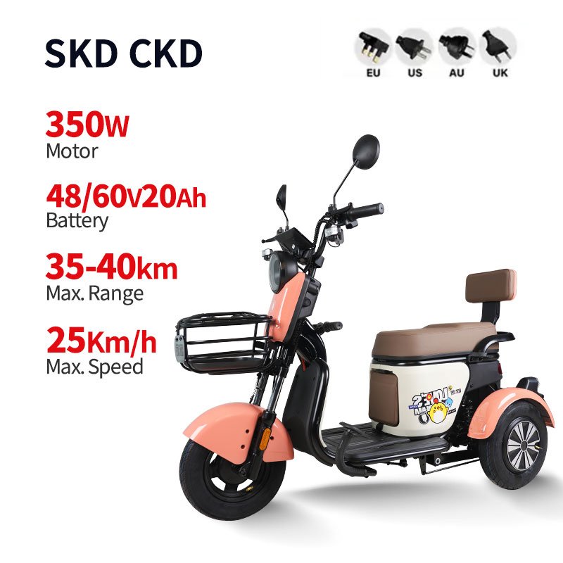 Hot sale Offer Sample Bajaj Sportbikes Fat Tire Electric Bike China electric tricycle for officer for women for kids for adult