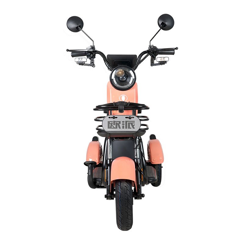Hot sale Offer Sample Bajaj Sportbikes Fat Tire Electric Bike China electric tricycle for officer for women for kids for adult