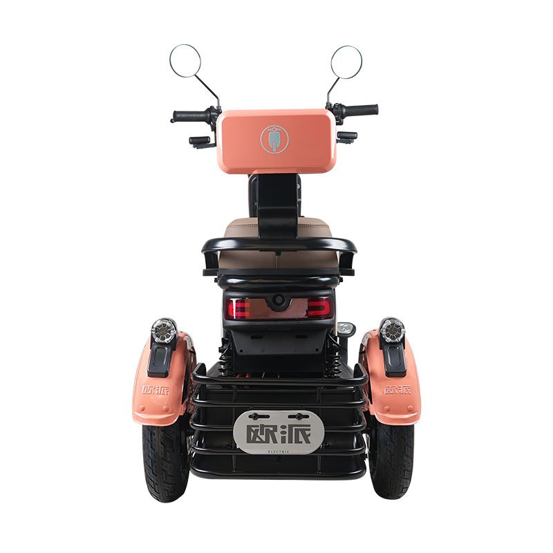 Hot sale Offer Sample Bajaj Sportbikes Fat Tire Electric Bike China electric tricycle for officer for women for kids for adult