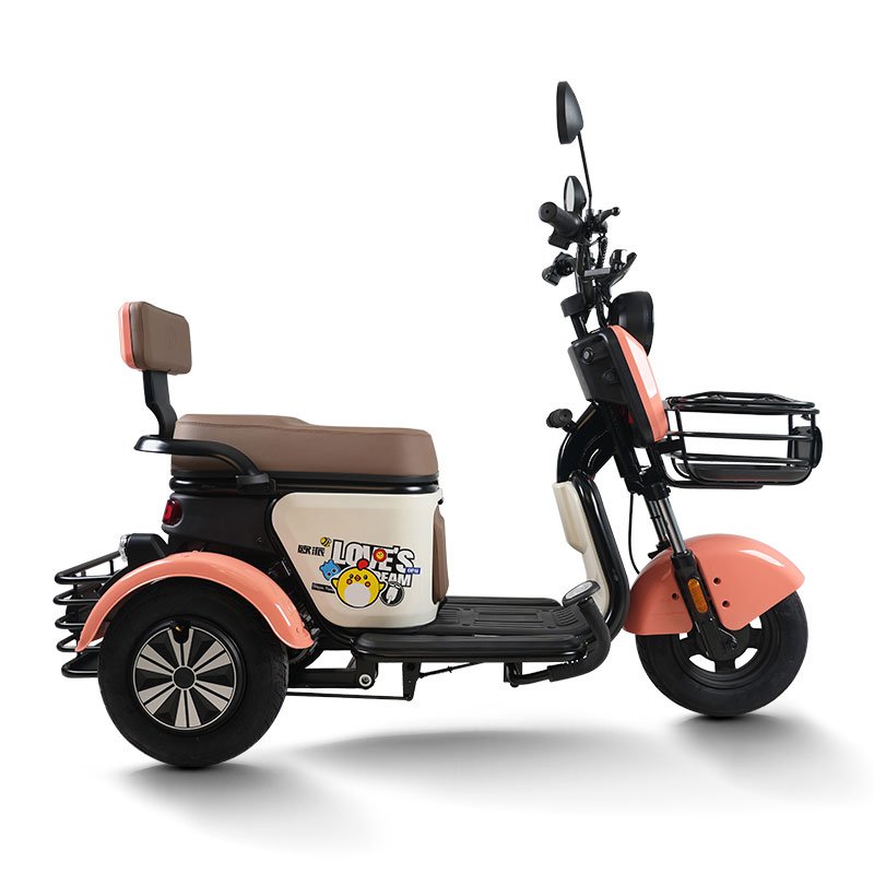 Hot sale Offer Sample Bajaj Sportbikes Fat Tire Electric Bike China electric tricycle for officer for women for kids for adult