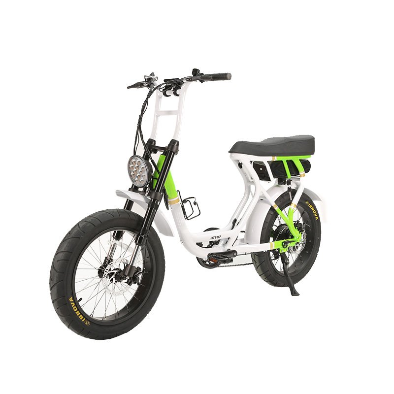 New Retro Vintage Electric Hybrid Bike 20 Inch Electric Bicycle 1000w Dirt Mountain Fat Tire Electric Bike Lithium Battery 48V
