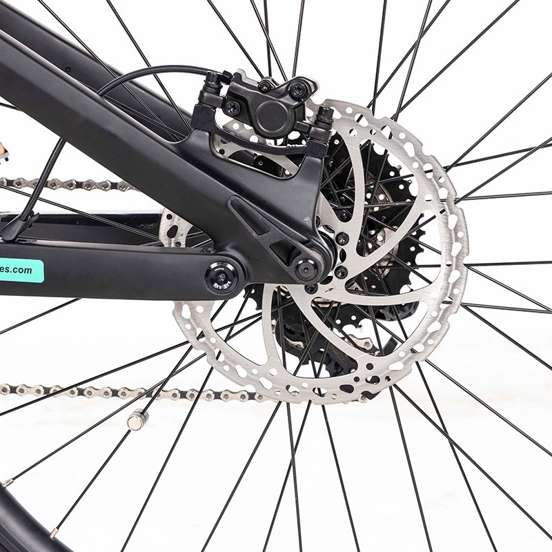 10 Speed Carbon Fiber Air suspension 48V500W Mid Motor Hydraulic Disc Brake Electric Mountain Bike