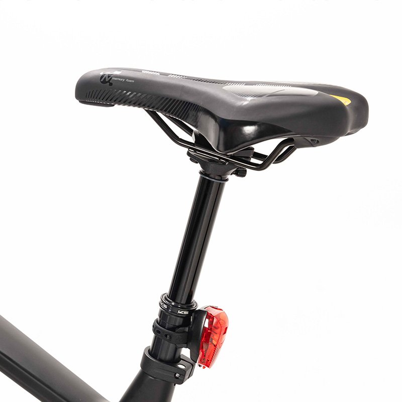 10 Speed Carbon Fiber Air suspension 48V500W Mid Motor Hydraulic Disc Brake Electric Mountain Bike