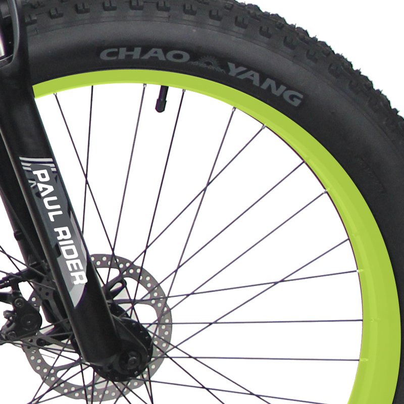48V 500W 1000W 13AH full suspension e-bike mtb mountain Bicycle Electric fat tire e Bike