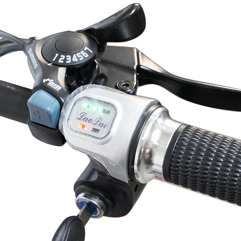 48V 500W 1000W 13AH full suspension e-bike mtb mountain Bicycle Electric fat tire e Bike