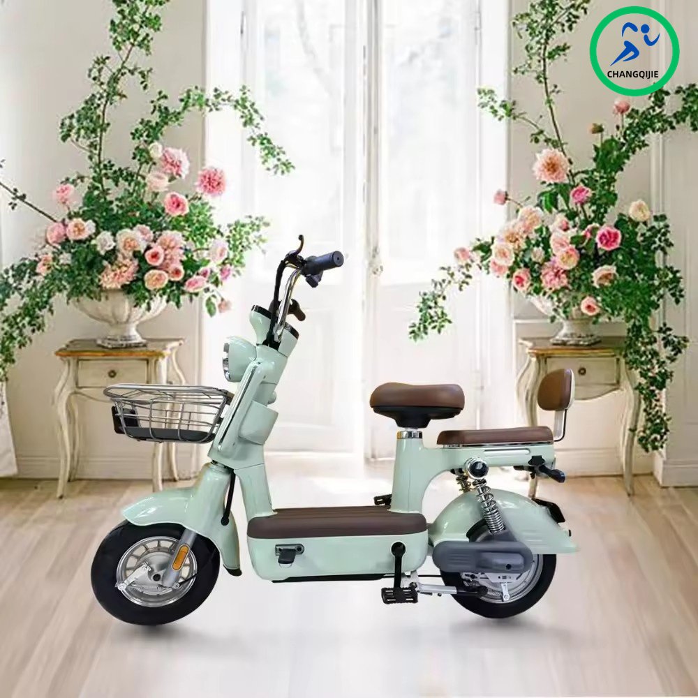 2024 New Model 350W City E-Bike High Quality Steel Frame Electric Bicycle Adults Factory Price 48V12Ah Rear Hub Motor Tube
