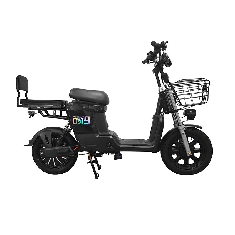 Large Seat Electric Home Delivery Electric Bicycle 400w/800w Electric City bike E bike Motorcycle